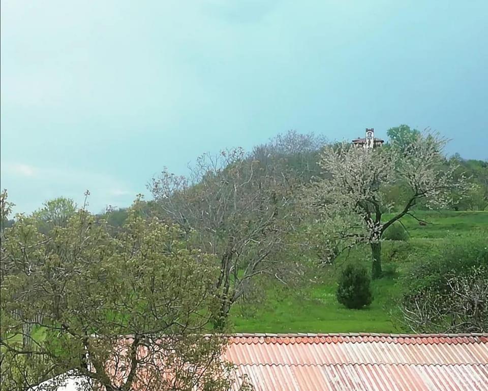 B&B Books & Bikes Buia Εξωτερικό φωτογραφία